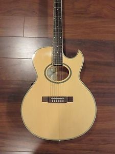 WASHBURN EA20 ACOUSTIC ELECTRIC