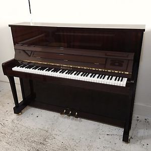 Bohemia Menuet 113 Upright Piano