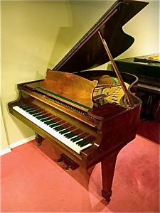 Steinway & Sons Flügel  M  Palisander Holz