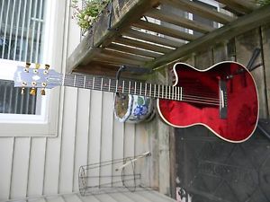 Gibson Chet Atkins SST guitar  (mirror finish nam show)