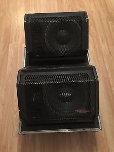 2 APOGEE AE-3Ms2 Stage Monitor Loudspeaker Cabinet PA Speaker System +Anvil Case