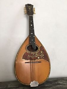 William C. Stahl Larson Brothers Ornate Flat Back Brazilian Rosewood Mandolin