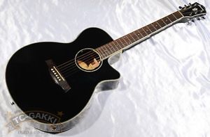 Ibanez 2015 AEG10 II FREESHIPPING/456