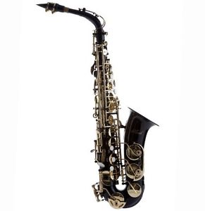 Hawk WD-S416-BK Student Alto Saxophone with Case, Mouthpiece and Reed, Black