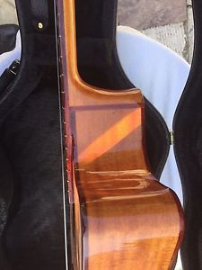 Pilarte Cutaway Classical Guitar with a well made case