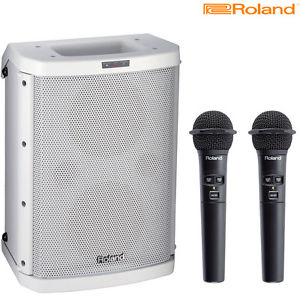 Roland Ba55 Batt