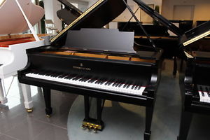 Steinway & Sons Flügel, Mod. M 170, generalüberholt, vom Klavierbaumeister