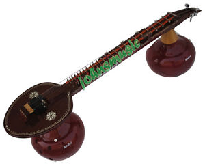 VEENA~RADEL DIGITA^*ELECTRONIC"SUNADAVINODINI~VINA~MIZRAB~CARRY BAG~STRING EHS