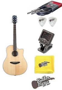 Breedlove Solo Dreadnought Solid Cedar Top A/E Guitar +Clip on Tuner & More!!!