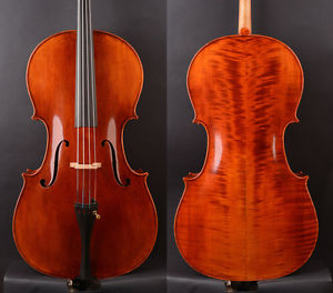 Special offer! An advanced 1/2 Size Modern Strad style Cello Deep Tone