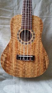 Solid Mango 6 string Concert Ukulele