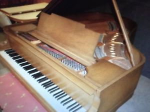 STEINWAY & SONS MODEL M