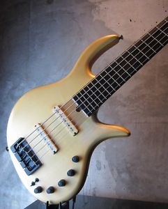 Elrick Gold Series E-volution Used Electric Guitar with Soft Case JP F/S