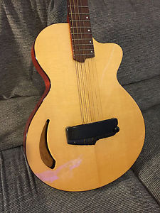 Willcox Guitars Atlantis ElectroAcoustic Thinline Guitar