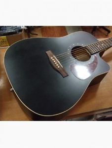 NORMAN B18 CW Cedar w/Presys Black w/soft case F/S Guiter Bass From JAPAN #Q612