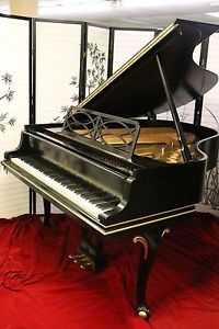 Steinway M Luxury Art Case Chippendale Ebony w/ Gold Trim