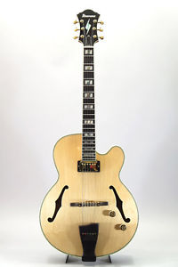 IBANEZ PM200 Pat Metheny Signature Modified 2010 S E-guitar