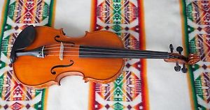 15 1/2 inch viola, Solid Wood, anno 2002 Strad Maestro