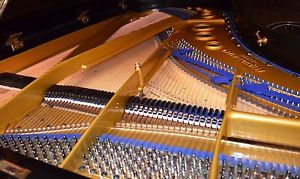 GROSSER BLÜTHNER Konzert  Flügel Stutzflügel Grand Piano Pianofort Studioflügel