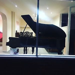 Bechstein Model V Grand. Fully reconditioned - 5 yr guarantee