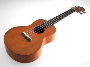 Ayers ULURU Acajou Concert Concert Ukulele en bois massif avec poche