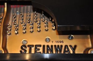 Steinway Model B 1988, Very Powerful, Big Growling Bass, Mold to what you want