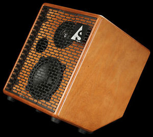 Acoustic Solutions ASG-75 Combo Guitar Amplifier Amp Wood