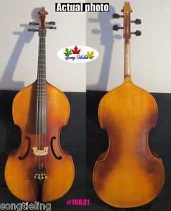 Baroque style SONG Brand Maestro instate Frets 4 string 25