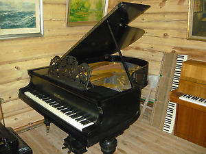 Blüthner - Flügel, Salonflügel 1,90 m