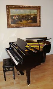NEU BALDUR Flügel Salonflügel Stutzflügel Klavier Piano Pianoforte