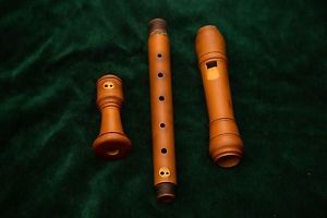 Jean Luc Boudreau Recorder
