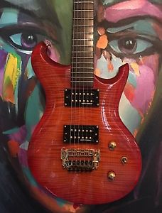 UK Custom Built 'Rock' Guitar (Careful, this  "Mongrel Dog" Bites 