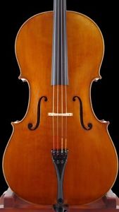 Vultur Calin 4/4 "Master" Cello Cello, Handmade from Siebenbürgen RO