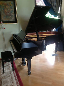 Grand piano steinway model B
