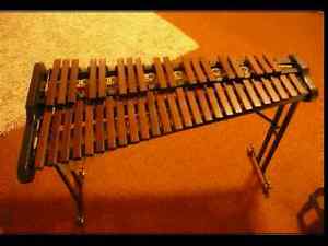 Xylophone bergerault