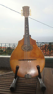 The Vega Company Mandolin Cylinder Back - WORLDWIDE SHIPPING - RARE - VINTAGE