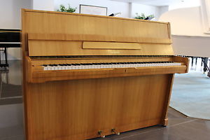 Euterpe Klavier, vom Klavierbaumeister, deutsche Produktion, Aktionspreis!