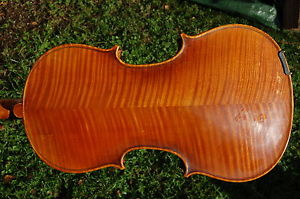 Wonderful genuine French 4/4 violin label Charotte, top condition.