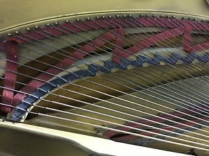 BEAUTIFUL STEINWAY & SONS CONCERT GRAND MODEL D PIANO "GOLDEN YEARS"