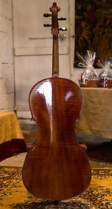 French cello from beginning of 20th century