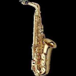 YANAGISAWA A-WO 1 Alto Saxophone - Brand NEW - Ships FREE WORLDWIDE