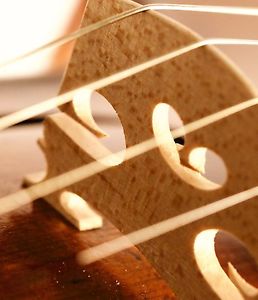 DEGANI alte feine ITALIENISCHEI GEIGE 4/4  old violin violon скрипка cello