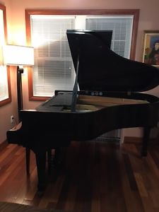 Stunning Otto Altenberg Grand Piano Ebony High Gloss Finish
