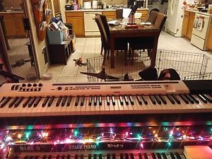 Casio PX5S Digit