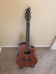 Breedlove Custom Shop Series Performance Focus (Kim Breedlove)