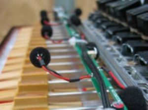 Limex Vollmidi MPR4+