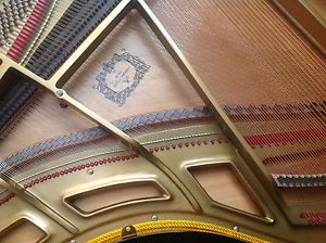 MODERNER STRAUSS Flügel Salonflügel Stutzflügel Klavier Piano Pianoforte Klavier