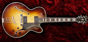 Höfner/ Hofner Attila Zoller Fusion Delux archtop jazzgitarre Nr. 5003 vintage