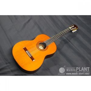 ASTURIAS AST50 NAT w/hard case Free shipping Guiter Bass From JAPAN #J193