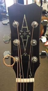 Alvarez Bluesman 5055